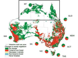 Changes in woody vegetation from European settlement (end of 18th century). Whereas only 1/3 of the original woody vegetation cover remains in the south east of Australia the Tropical savannas of northern Australia currently occupy 99% of their original extent. The black outline delimits (roughly) the study area. Source: ABARES (Australian Bureau of Agricultural and Resource Economics and Sciences, Australian Government).